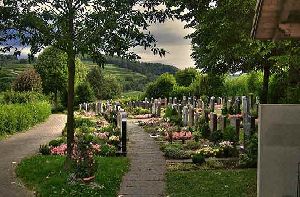 Trauer-Bestattung-Friedhof