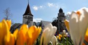 Galerie Frühling in Plauen anzeigen